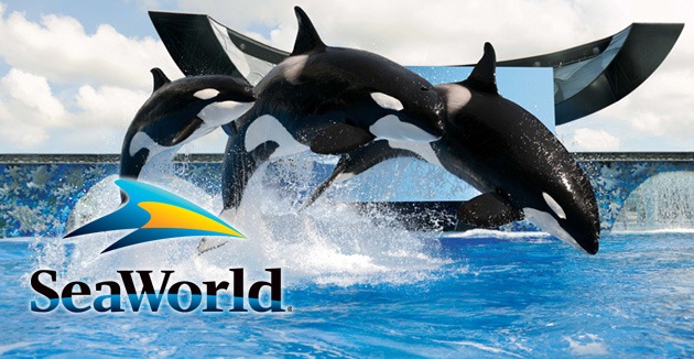 SeaWorld Orlando banner