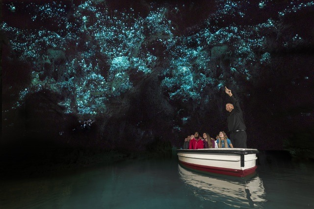 Waitomo_Glowworm_Caves