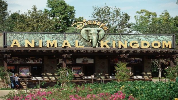 's Animal Kingdom one